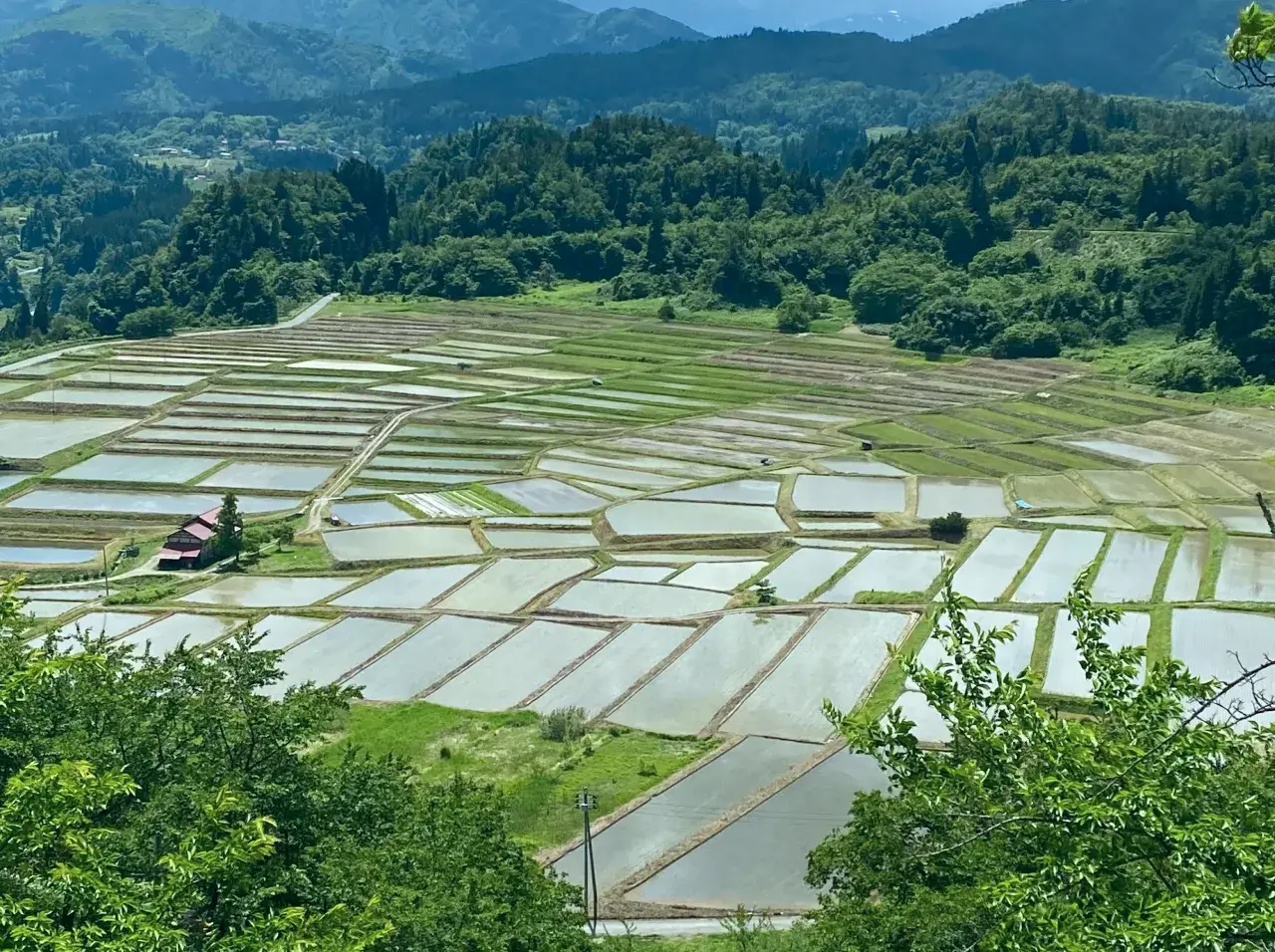 田園風景