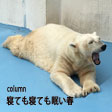 寝ても寝ても眠い春