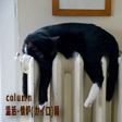温活！-懐炉(カイロ)編-
