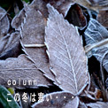 この冬は寒い・・・