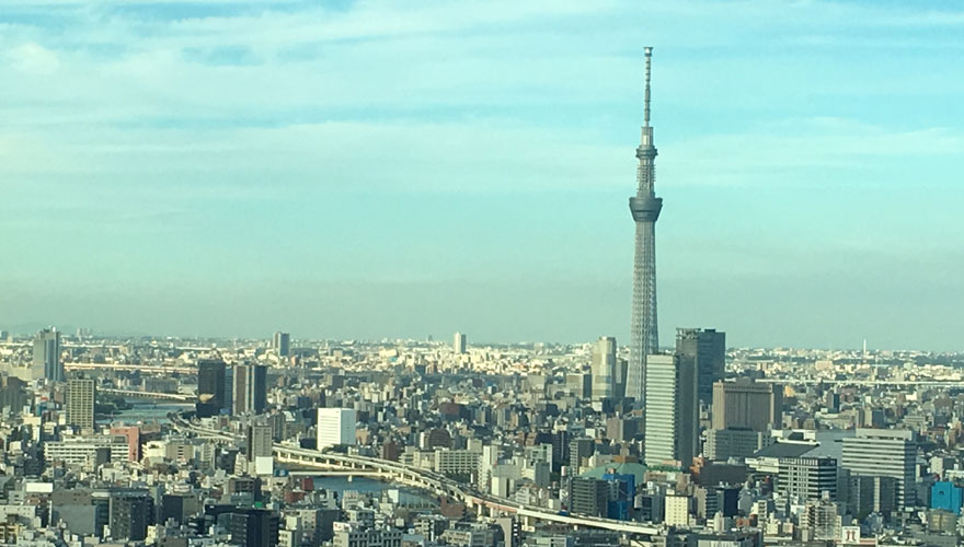 メリヤスの起源・歴史について