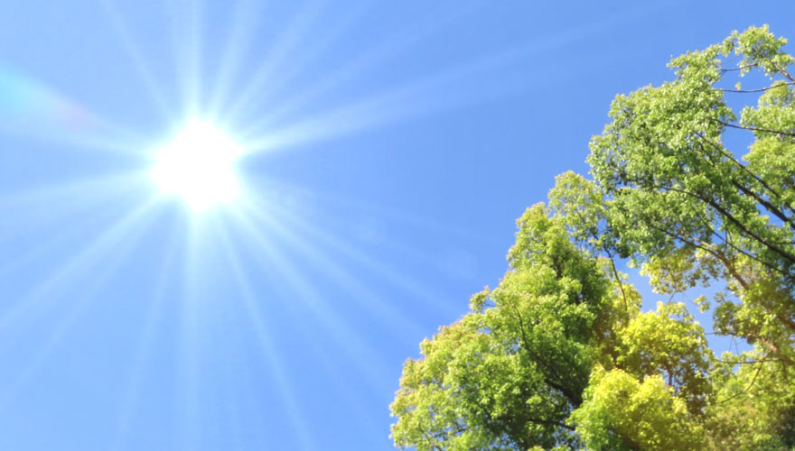 年々暑くなる夏、夏バテ対策していますか？