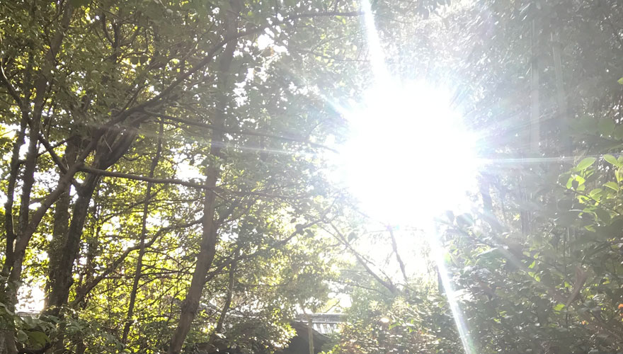 紫外線対策の季節-急な気温上昇と共に強い日差しに注意しましょう-　